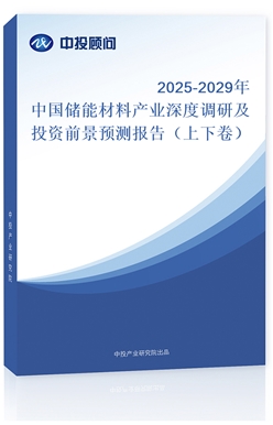 2025-2029Ї(ch)ܲϮa(chn)I(y){(dio)мͶYǰA(y)y(c)(bo)棨¾