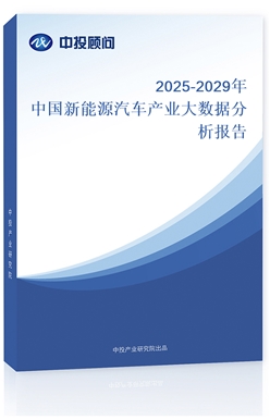 2025-2029ЇԴ܇aI(y)(sh)