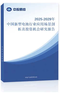 2025-2029Ї늳ИI(y)(yng)ÈͶYC(j)(hu)о(bo)